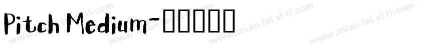 Pitch Medium字体转换